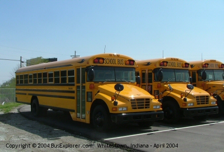 Blue Bird Vision Blue Bird Vision